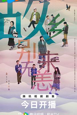 雷山县网站优化服务